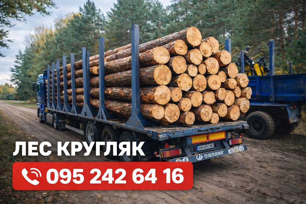 Лес кругляк Сосна, тонкомер, пиловочник тех сырье.