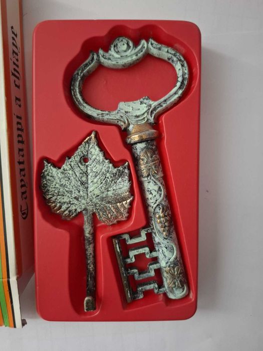 Vintage key-shaped corkscrew with vine leaf hook431393489835806721