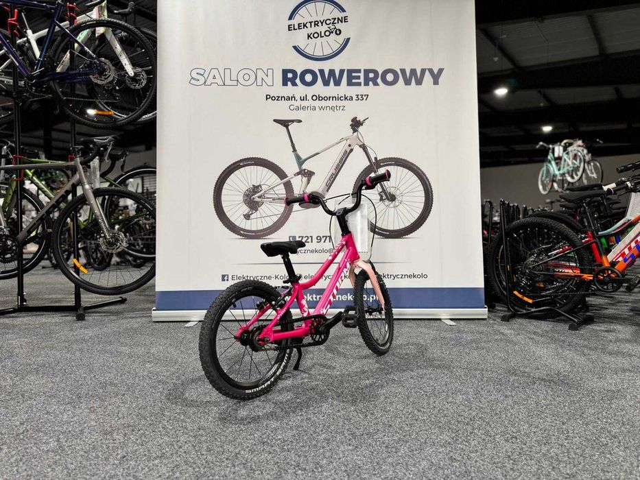 Rower dziecięcy Storm Polly 2VBR 16 light Raty 0%