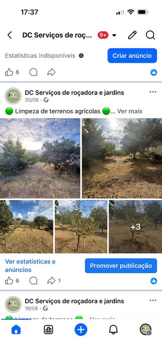 Manutenção de jardins