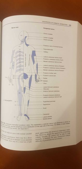 Clinical neurology 4 edição  roger p. Simon michael j. Aminoff