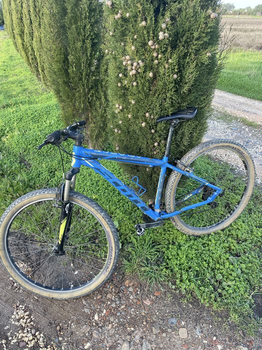 Bicicleta de montanha 29”