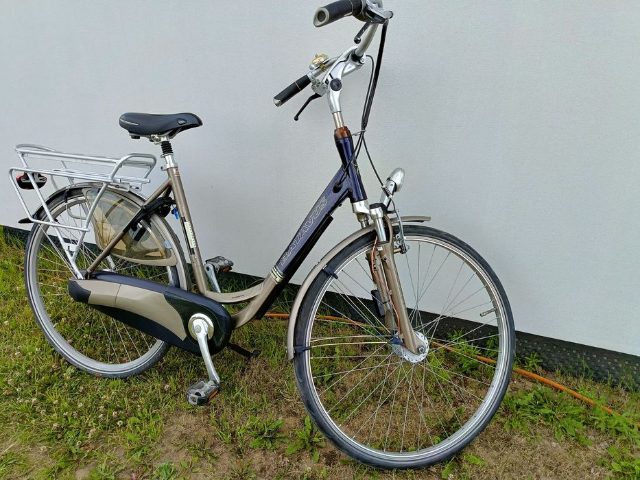 Rower batavus 28