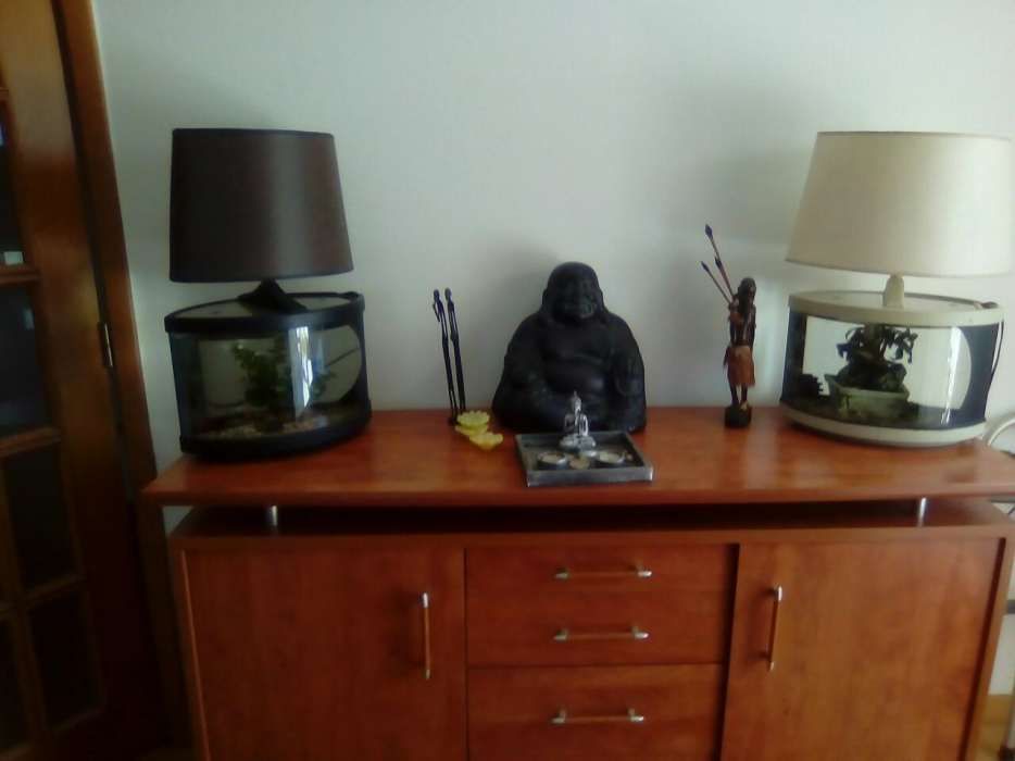 Aquário oval com candeeiro incorporado