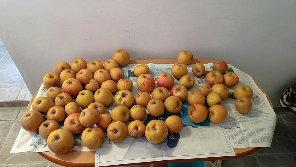 Sprzedam Domek murowany