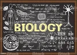 Korepetycje z biologii ONLINE lub stacjonarnie