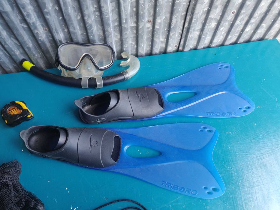 conjunto barbatanas e oculos