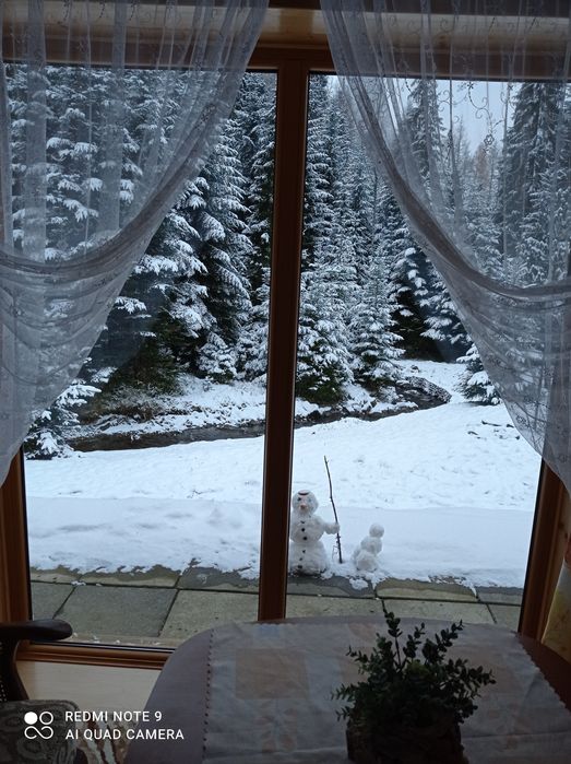 Domek w Gorcach w otoczeniu natury. Góry. Las. Strumyk. Basen. 6-8 os.