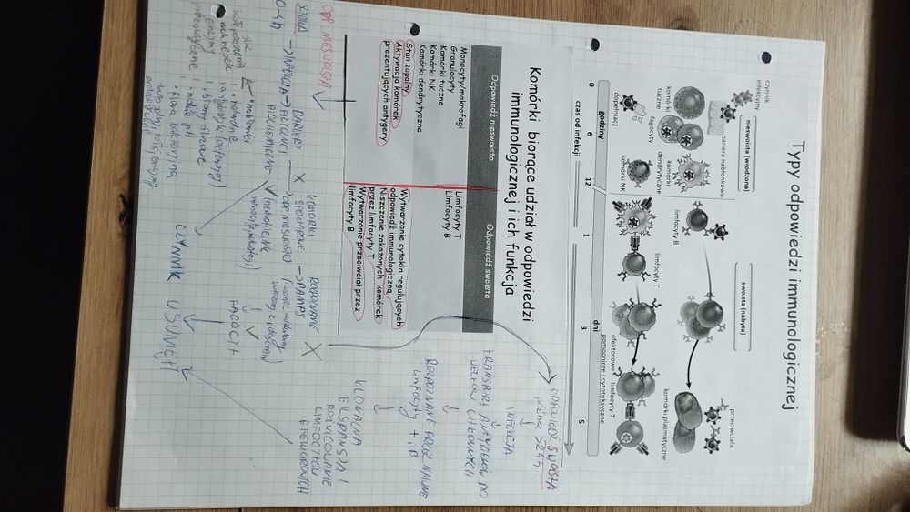 Notatki z immunologii
