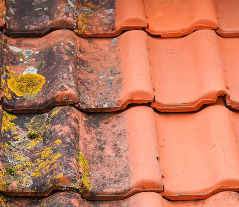 Lavagem e tratamento do telhado