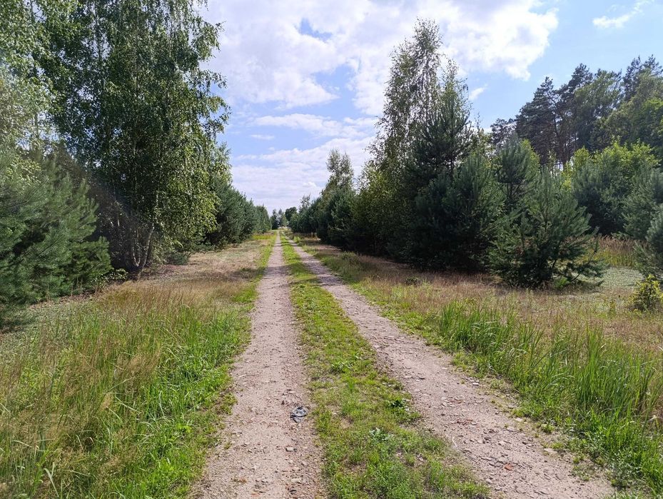 14 działek budowlanych od 1040 m² do 1101 m², Ludowinka gm. Wodzierady - Więcej
