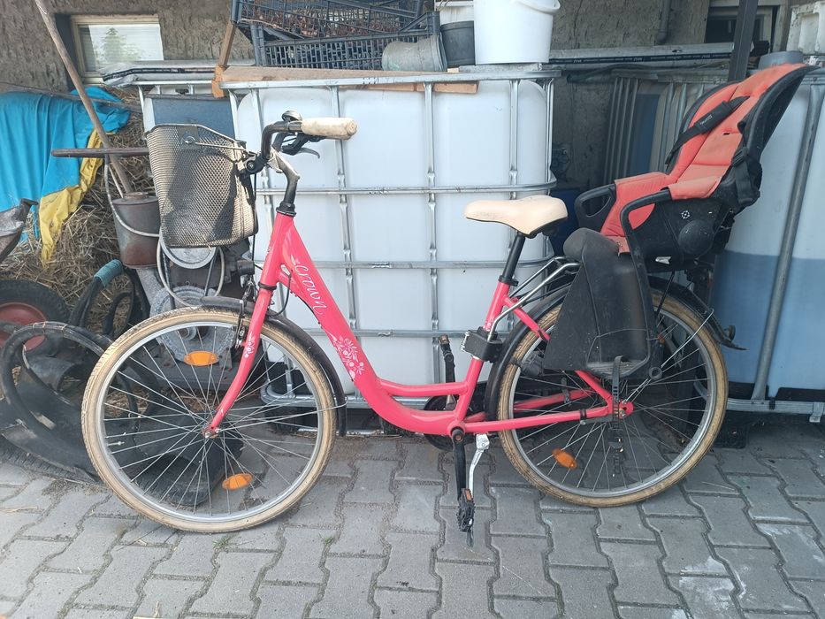 Rower damski damka