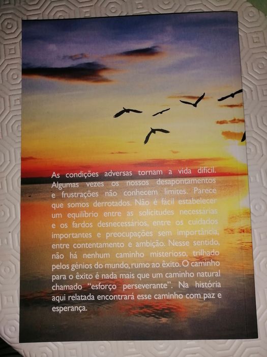 Livro tenha paz do viva melhor