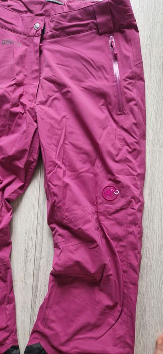 Mammut  L.        .