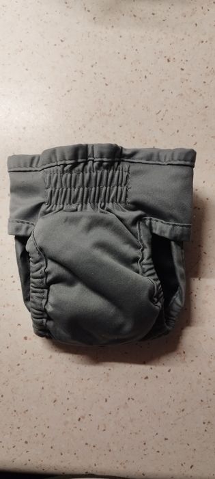 Pampers dla szczeniąt