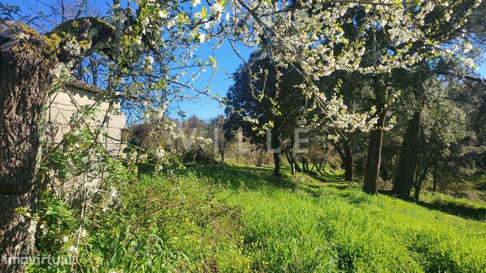 Terreno  Venda em Préstimo e Macieira de Alcoba,Águeda
