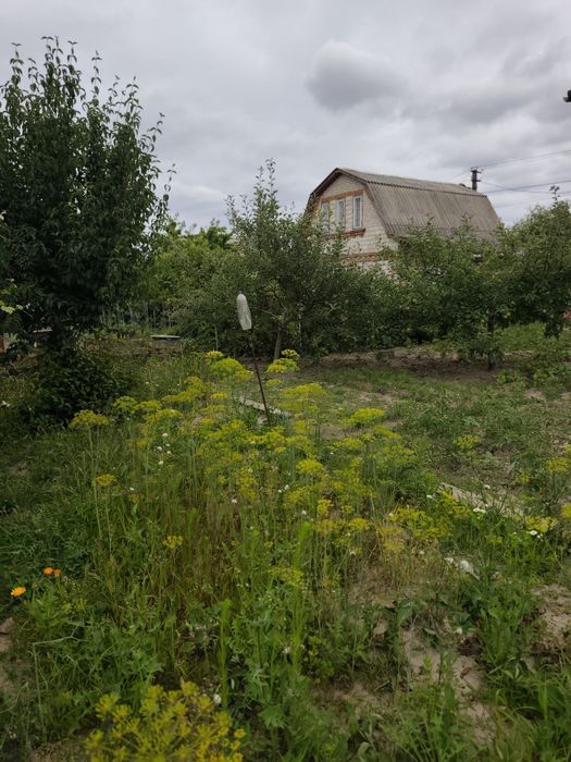 Терміновий продаж дачі в межах міста Вінниці
