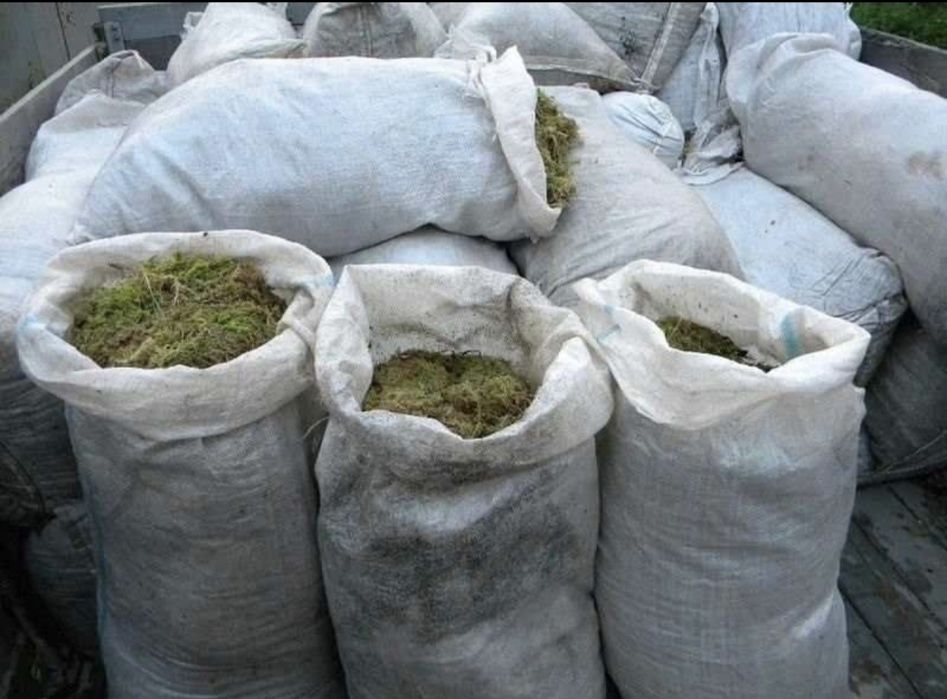 Мох сфагнум оптом 60л. Знижка та найкраща ціна