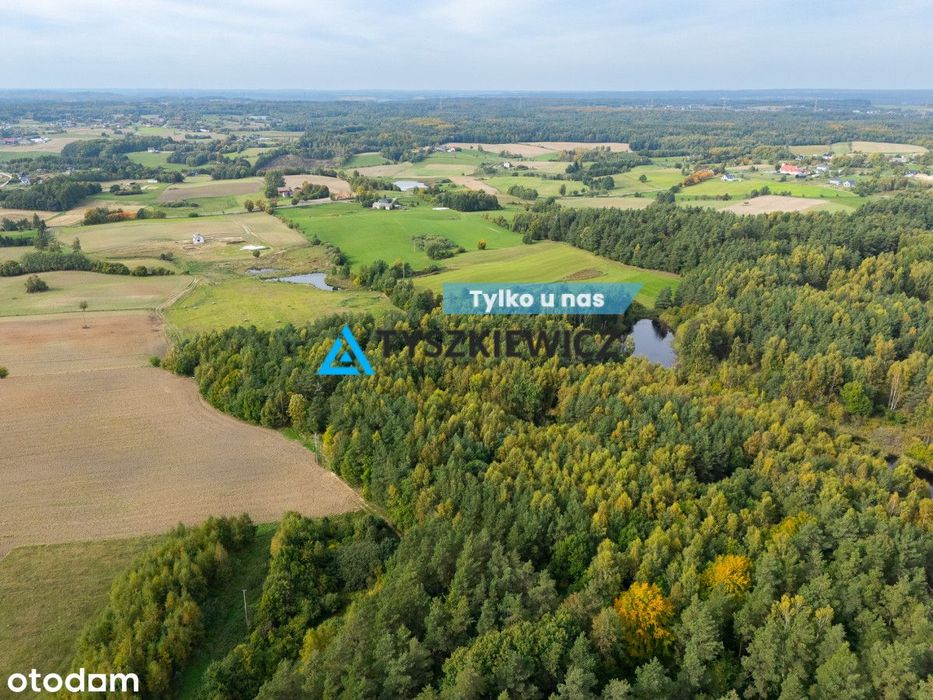Działka rolna I 0,5 ha I Nowa Wieś Przywidzka I