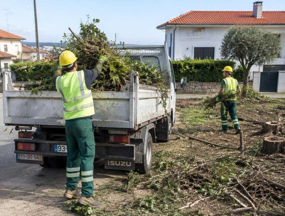 Limpeza de Terrenos e Desmatação | Lisboa e Arredores