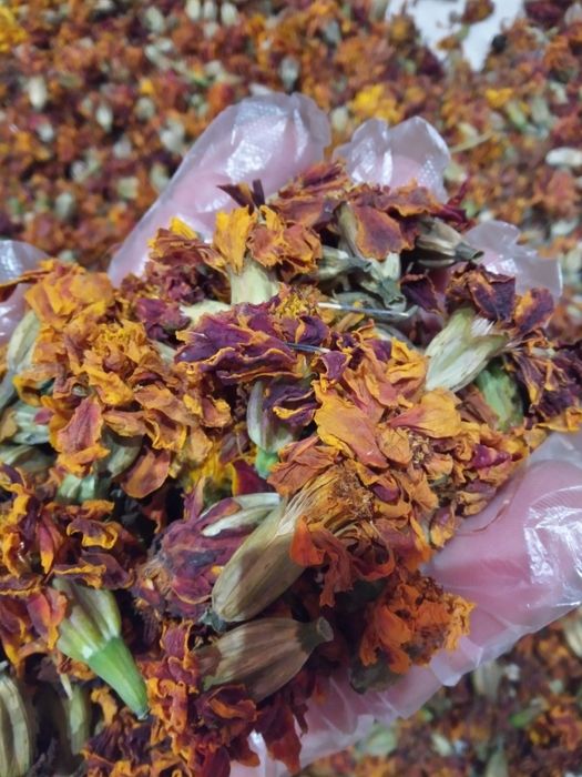 Чорнобривці квіти сухі, 2025рік