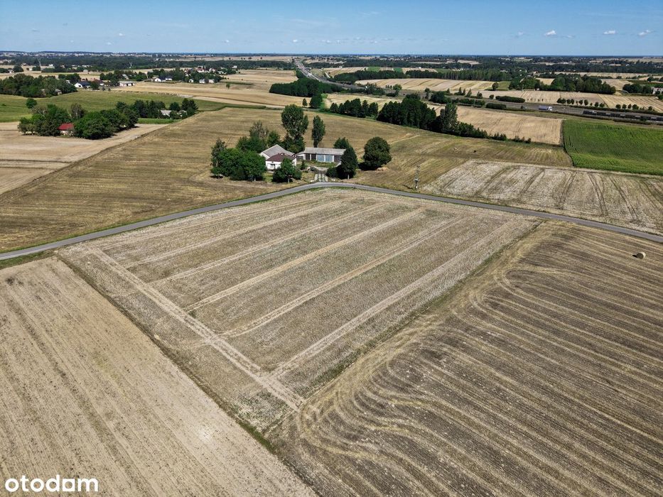 Działka RM 9514 m² z dobrym dojazdem