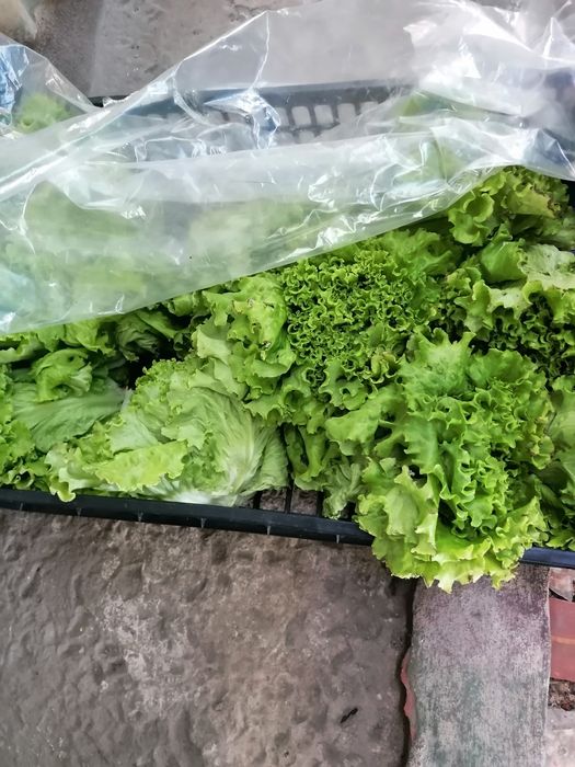 Vendo frutas e legumes