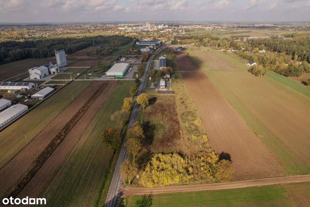 Sprzedam działkę przy obwodnicy Sierpca DK560 - Widok 5