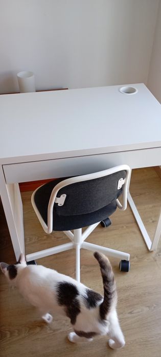 Cadeira de escritório do ikea