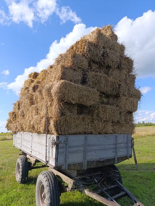 Продам сіно та солому в тюках