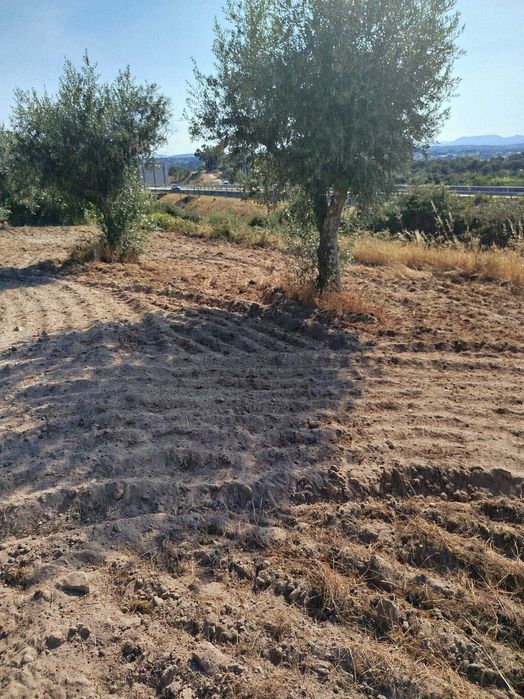 Horta agrícola em Alcains