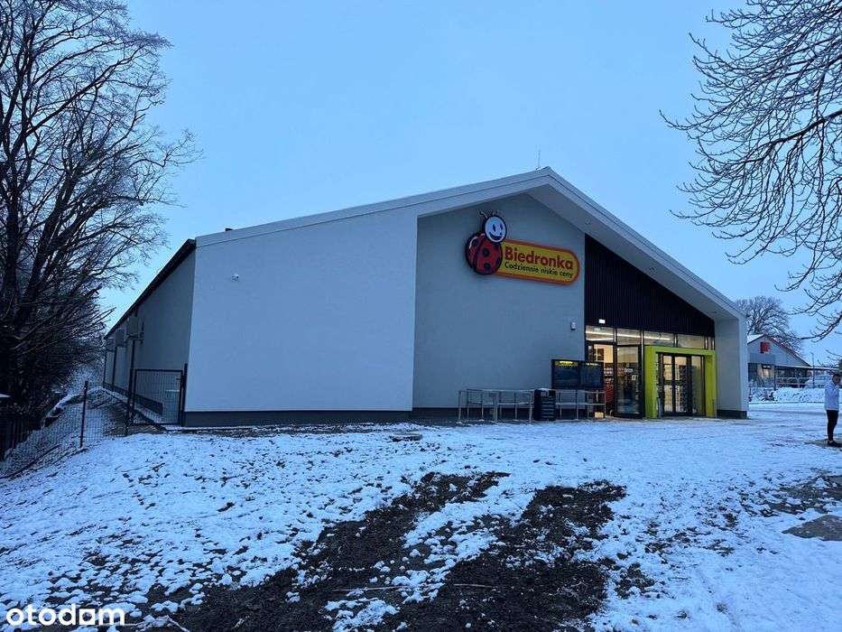 Biedronka EF650 Kisielice