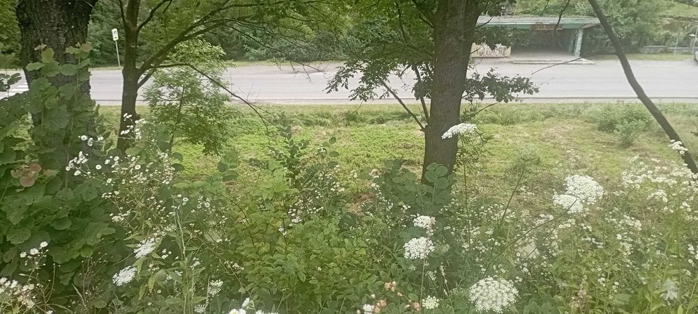 Ціну змінено! Продаємо ділянку у Квітки Полонини Солочин Закарпатськ