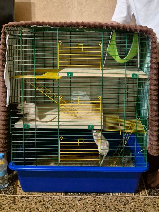 Клітка для гризунів б/у