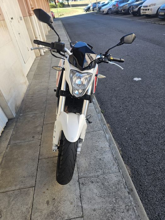 Benelli bn 251 2019 ABS