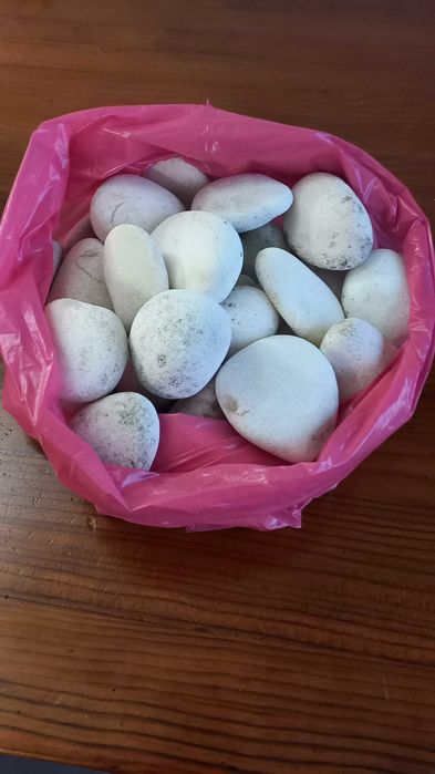 Pedras brancas redondas