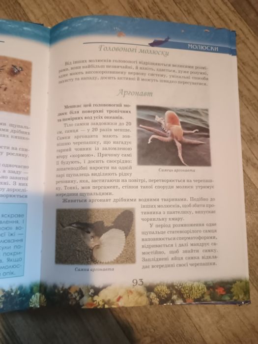 Книга "Цікаві дивовижні"