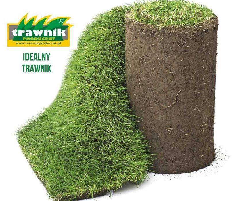 Trawa w rolce m2 Kraków małopolskie www.gardenlawn.pl/trawa-w-rolce