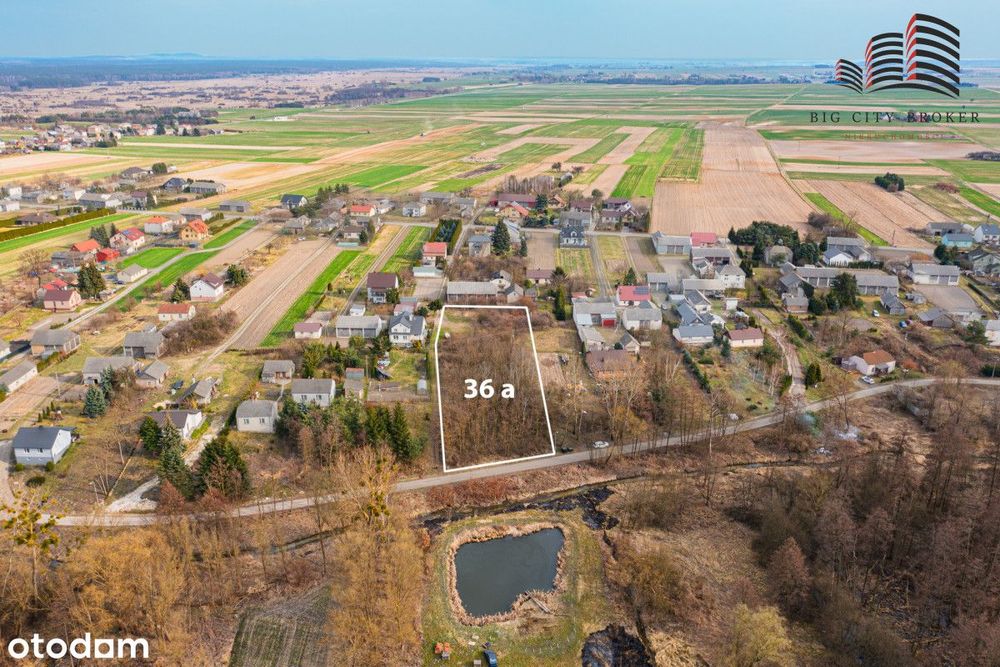 36a ; budowlana ; zalesiona ; Oleśniki ; Trawniki