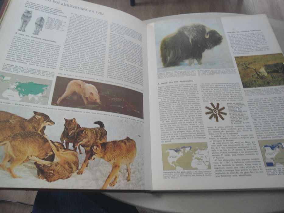 Animais da Terra das SRD