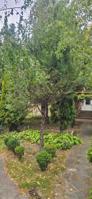 Продам 2 дома на участке в районе Новых домов Павленки