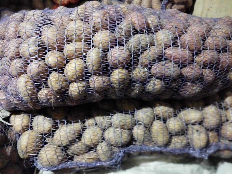 Продам домашню насінну картоплю