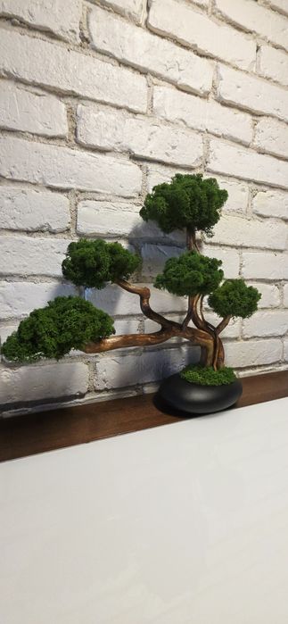 Drzewko bonsai. Mech Chrobotek. Dekoracje domu. Prezent.