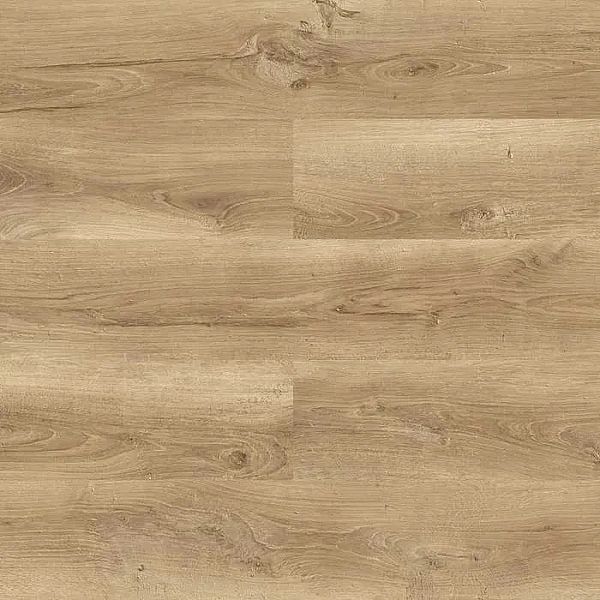 Panele podłogowe Outlet SWISS KRONO Dąb Silesia D2590 AC3/8 mm