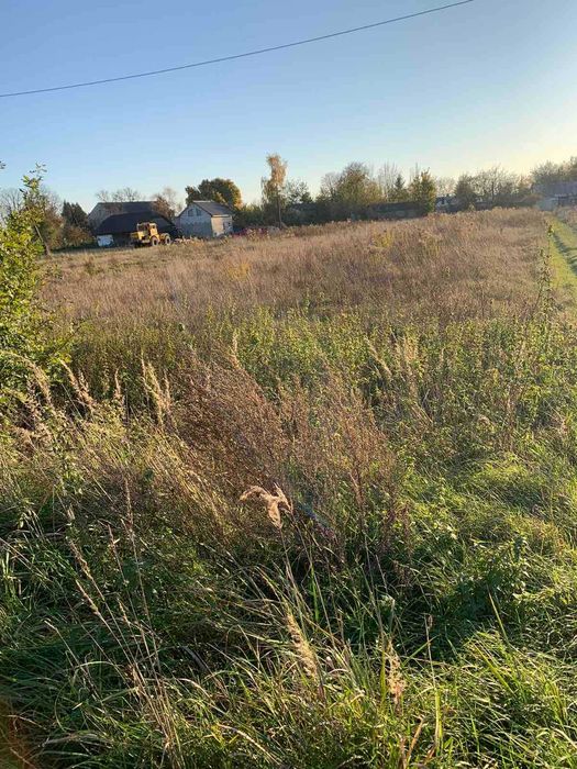 житловий будинок та земельна ділянка 46,5 сот