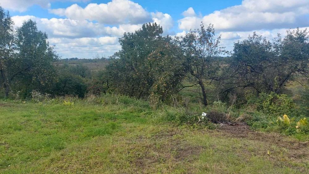 Продаж земельної ділянки 25 соток під забудову - с.Кліцько