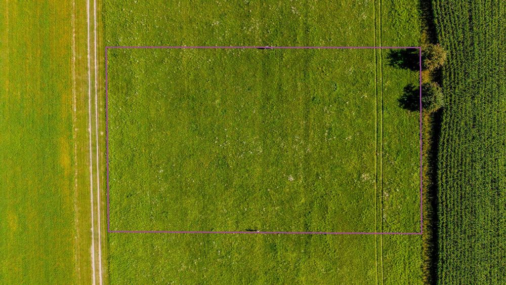 Działka 3 076 m² z WZ – Letniki, gm. Dobrzyniewo Duże - Widok 2