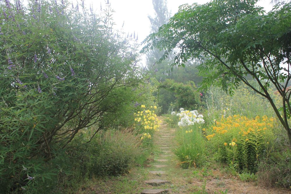 casa de campo em madeira na natureza