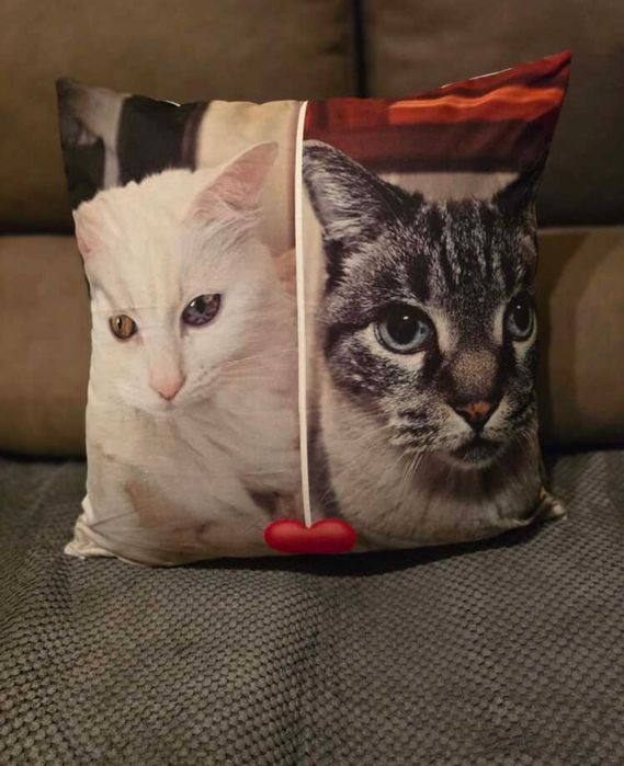 Almofadas Personalizadas – Torna cada momento inesquecível!