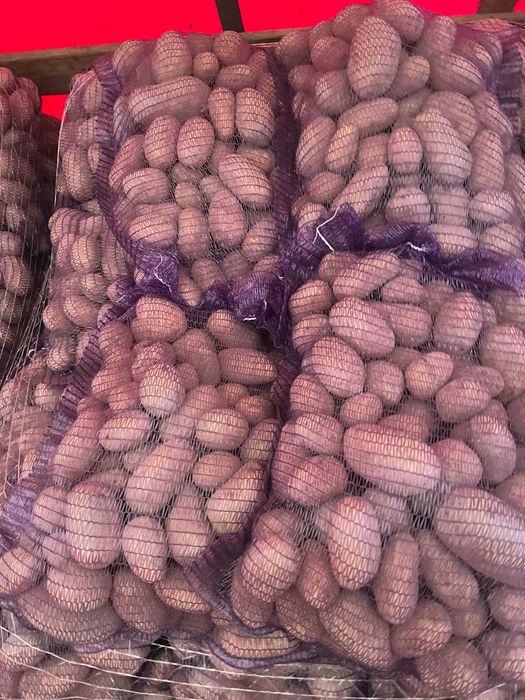 Картопля Товарна Гуртом, Якість із ПДВ